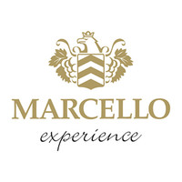 MARCELLO experience logo, MARCELLO experience contact details