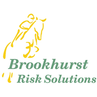 Brookhurst Risk Solutions logo, Brookhurst Risk Solutions contact details