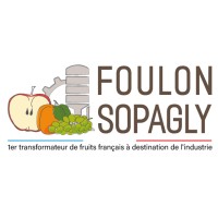 FOULON SOPAGLY logo, FOULON SOPAGLY contact details