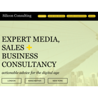 Silicon Business Consulting logo, Silicon Business Consulting contact details