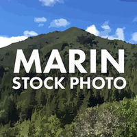 Marin Stock Photo logo, Marin Stock Photo contact details