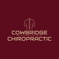 Cowbridge Chiropractic Clinic logo, Cowbridge Chiropractic Clinic contact details