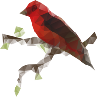 The Ruby Bird logo, The Ruby Bird contact details