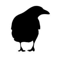 Bald Crow Publishing logo, Bald Crow Publishing contact details