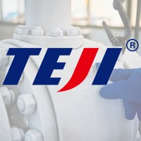 TEJI VALVE GROUP CO.,LTD. logo, TEJI VALVE GROUP CO.,LTD. contact details