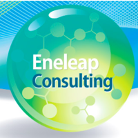 Eneleap Consulting logo, Eneleap Consulting contact details