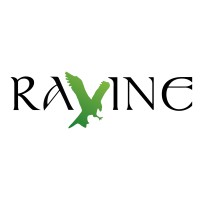 Ravine NI logo, Ravine NI contact details