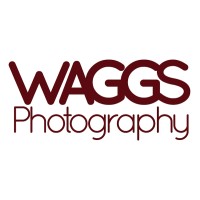 Waggs Photography logo, Waggs Photography contact details