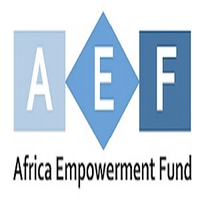 Africa Empowerment Fund logo, Africa Empowerment Fund contact details