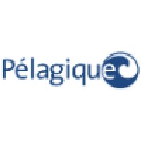 Pelagique, LLC logo, Pelagique, LLC contact details