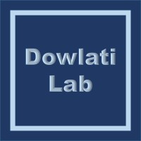 Dowlati Lab logo, Dowlati Lab contact details