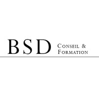 BSD Conseil logo, BSD Conseil contact details