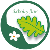 Arbol y Flor Tea Shop logo, Arbol y Flor Tea Shop contact details