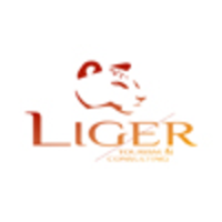 LIGER Tourism & Consulting logo, LIGER Tourism & Consulting contact details