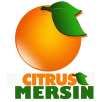 citrus mersin logo, citrus mersin contact details