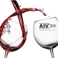 Aiv Distributors Inc. logo, Aiv Distributors Inc. contact details