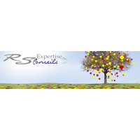 RS EXPERTISE ET CONSEILS logo, RS EXPERTISE ET CONSEILS contact details