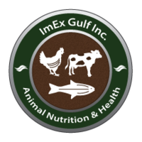 ImEx Gulf Inc logo, ImEx Gulf Inc contact details