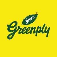 Greenply Plywood logo, Greenply Plywood contact details