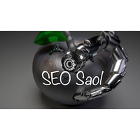 SEO Saol logo, SEO Saol contact details