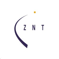 ZNT Assessoria e Consultoria logo, ZNT Assessoria e Consultoria contact details