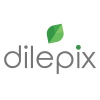 Dilepix logo, Dilepix contact details