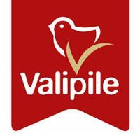 Valipile d.o.o. logo, Valipile d.o.o. contact details