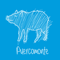 Puercomonte logo, Puercomonte contact details