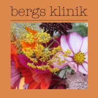 bergs klinik logo, bergs klinik contact details