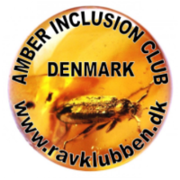 The Danish Amber Association | Den Danske Ravklub logo, The Danish Amber Association | Den Danske Ravklub contact details