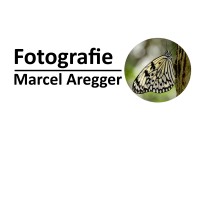 Fotografie Marcel Aregger logo, Fotografie Marcel Aregger contact details