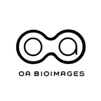 OA BioImages logo, OA BioImages contact details