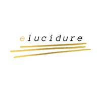 Elucidure Consulting, LLC logo, Elucidure Consulting, LLC contact details