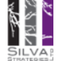 Silva Strategies Ltd logo, Silva Strategies Ltd contact details