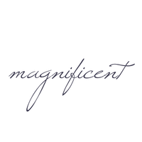 Magnificent Group Limited logo, Magnificent Group Limited contact details