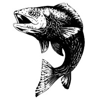 The Fisheries logo, The Fisheries contact details