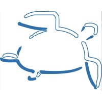 The Turtle Partnership logo, The Turtle Partnership contact details