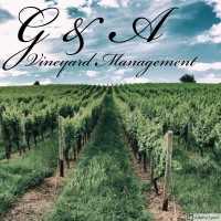 G&A Vineyard Management logo, G&A Vineyard Management contact details