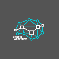 Bricks Analytics logo, Bricks Analytics contact details