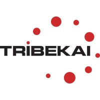 TRIBEKAI logo, TRIBEKAI contact details