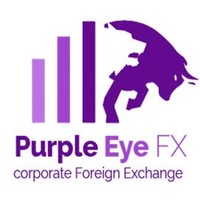 PURPLE REMIT & PURPLE EYE FX logo, PURPLE REMIT & PURPLE EYE FX contact details