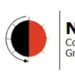 NAVA Consulting Group logo, NAVA Consulting Group contact details