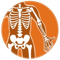 New Mexico Orthopaedics logo, New Mexico Orthopaedics contact details