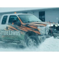 Tiger Stripe Lawns LLC logo, Tiger Stripe Lawns LLC contact details