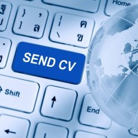 CV Check Career 👉 D/E logo, CV Check Career 👉 D/E contact details