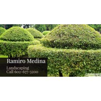 Ramiro Medina Landscaping logo, Ramiro Medina Landscaping contact details