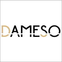 Dameso GmbH logo, Dameso GmbH contact details