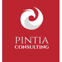 PINTIA CONSULTING logo, PINTIA CONSULTING contact details