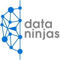 Data Ninjas logo, Data Ninjas contact details