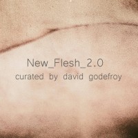 new_flesh_2.0 logo, new_flesh_2.0 contact details